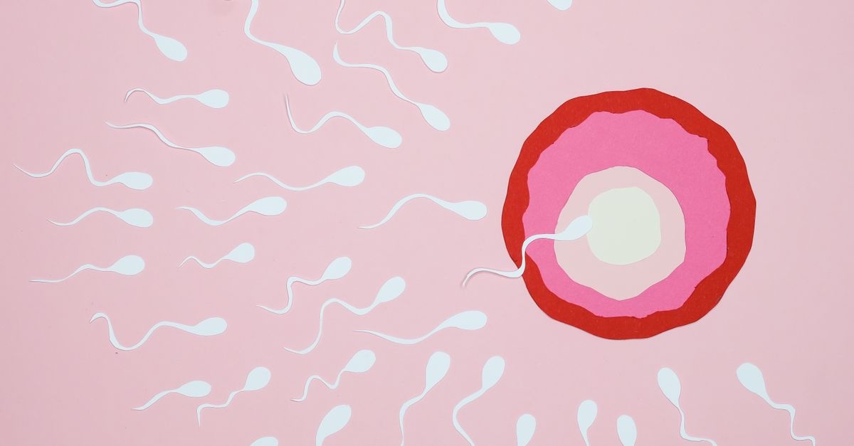 Ciclo mestruale e tiroide: il legame nascosto che può cambiare il tuo benessere