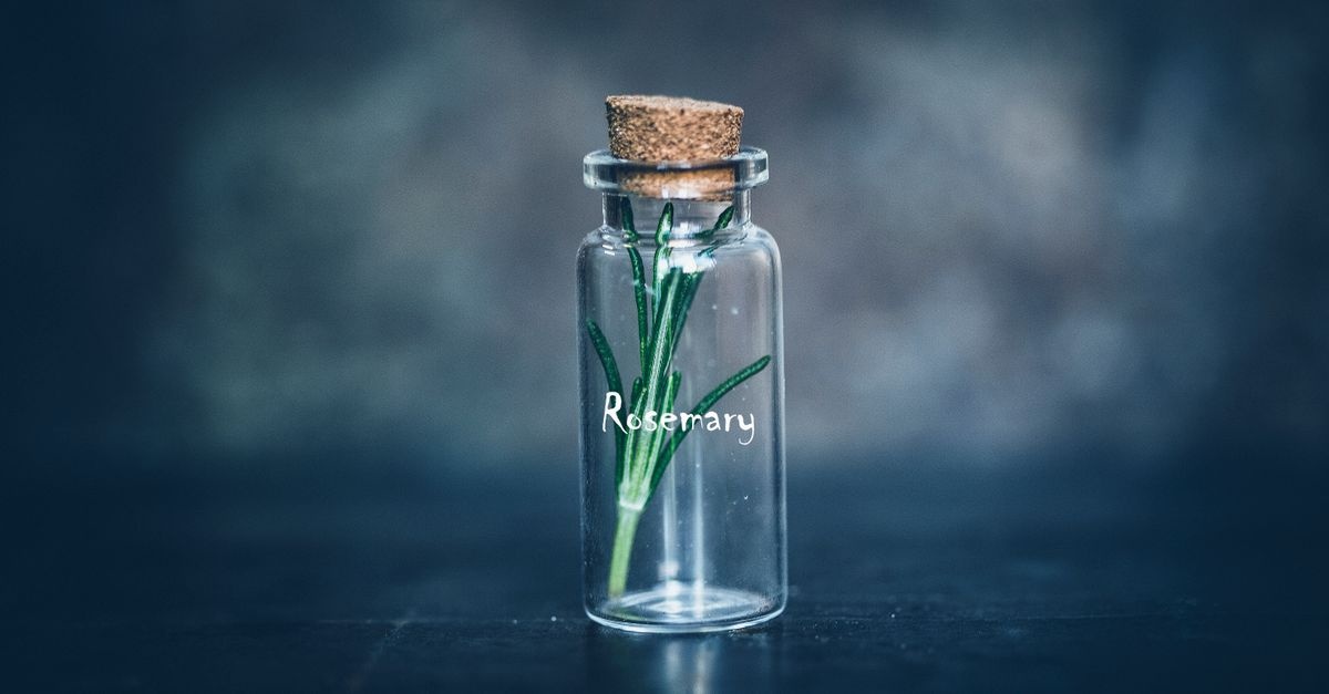 Segreti dell’olio al rosmarino per capelli: crescita, lucentezza e una routine naturale