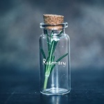 Segreti dell’olio al rosmarino per capelli: crescita, lucentezza e una routine naturale